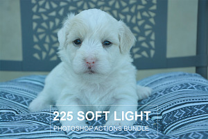 Soft Light Photoshop Actions, an Action Add-On by ARTNEST