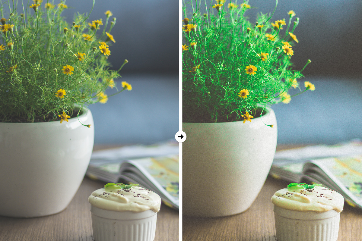 10 Home Presets for LR and PS, an Action Add-On by M E G A S E T S (Photo 10 of 10)