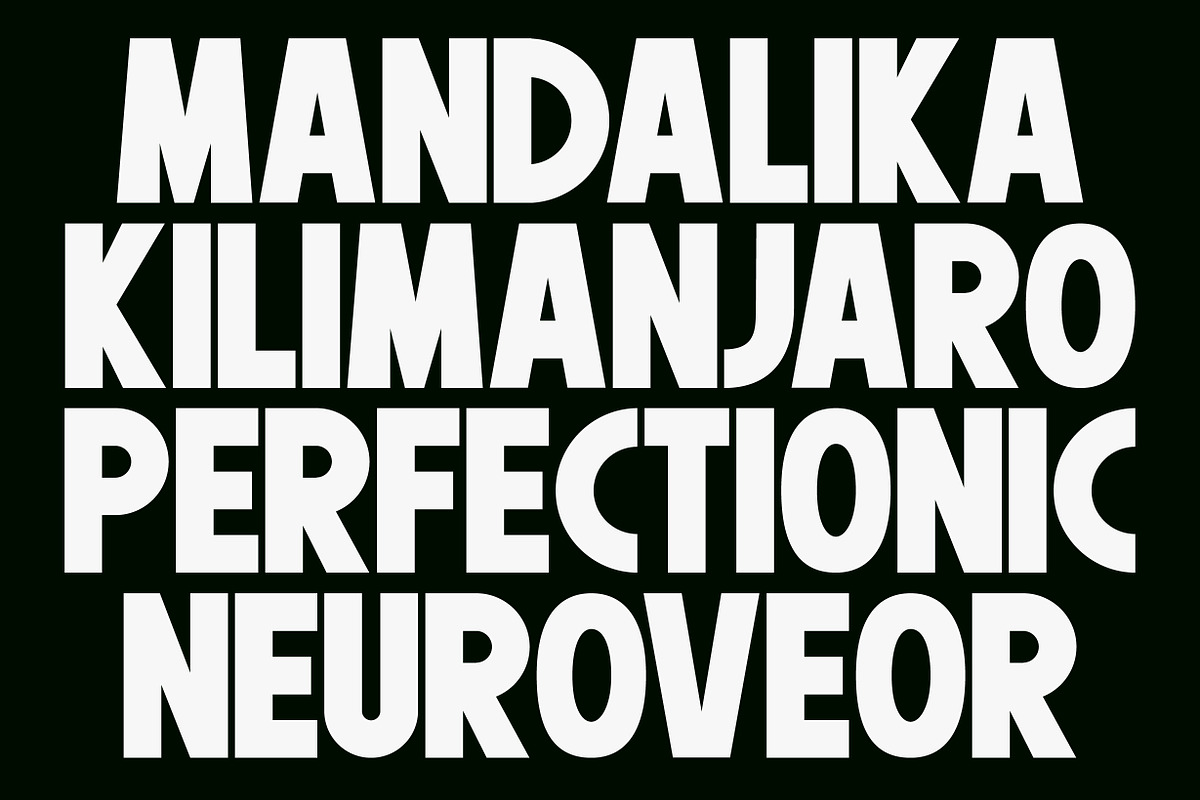 Agista - Sans Bold Type, a Sans Serif Font by NuType (Photo 7 of 10)