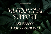 Ever Lasting - Modern Serif Font, a Serif Font by RagamKata (Thumbnail 13 of 13)
