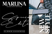 Basstian Signature LS, a Script Font by GranzCreative (Thumbnail 8 of 18)