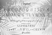 Hengstand Handwritten Font, a Handwritten Font by Basnistudio (Thumbnail 8 of 10)