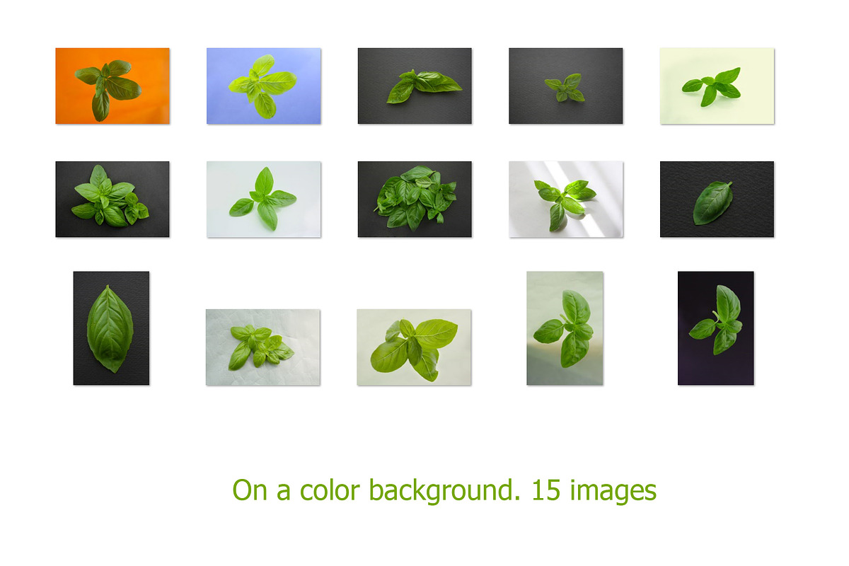Basil leaves and herb, 100 images, a Food & Drink Photo by Pullia (Photo 3 of 7)