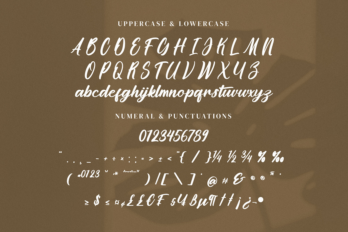 Whicleena, a Handwritten Font by Goresan Studio (Photo 10 of 15)