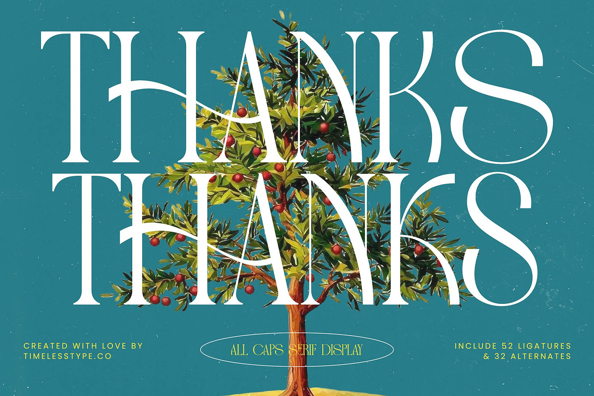 Havens Brooke Editorial Serif, a Serif Font by timelesstype.co (Photo 20 of 20)