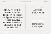 Fergina Modern Ligature Font, a Serif Font by RantautypeStudio (Thumbnail 15 of 15)