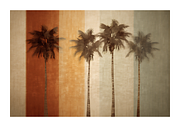 Palm Co · Peaceful Palm Tree Row, a Decorative Illustration by milatovar (Thumbnail 10 of 16)