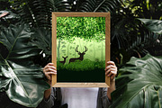 Forest Landscape, a Decorative Illustration by Digital Studio (Thumbnail 4 of 10)