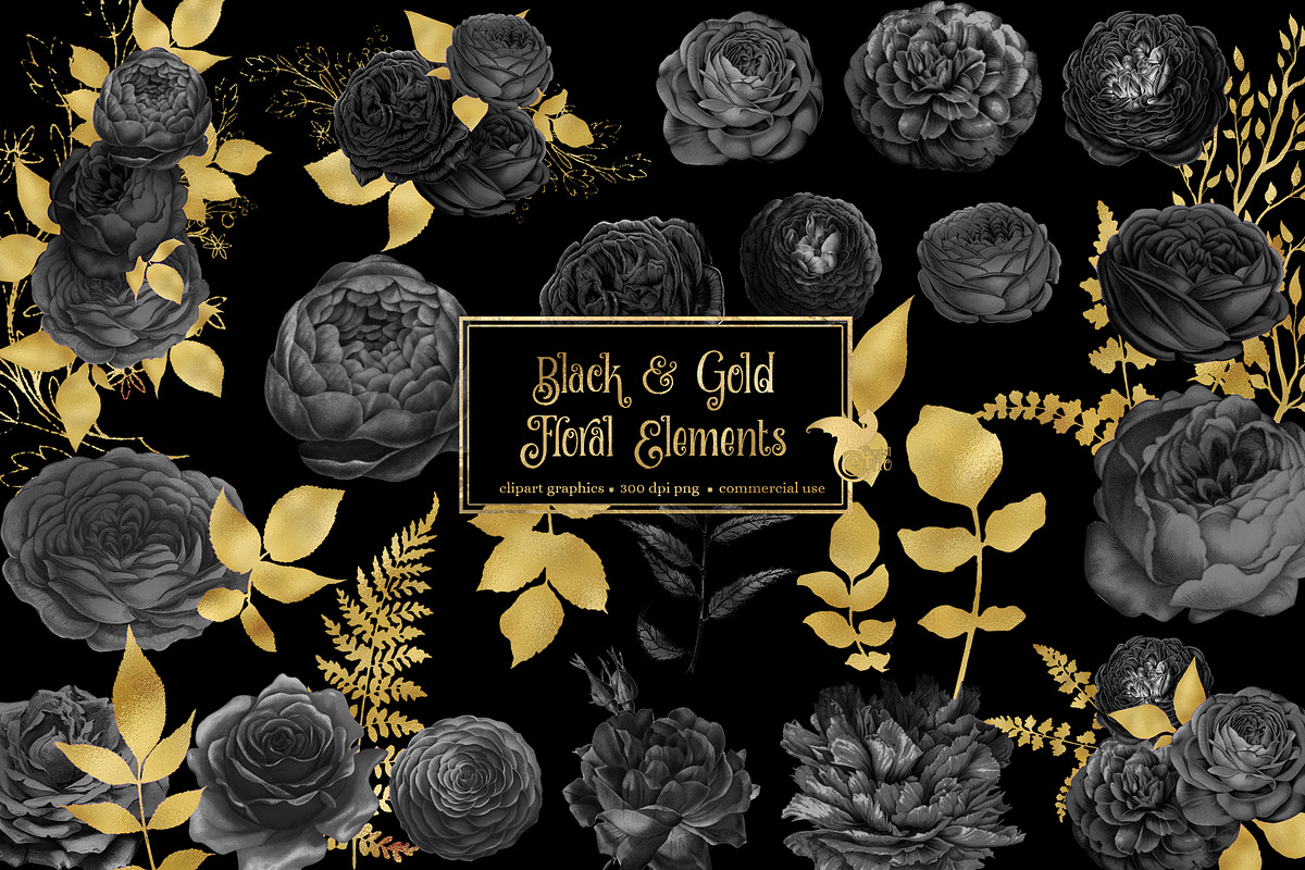 Black and Gold Floral Elements, an Illustration by Digital Curio (Photo 1 of 3)