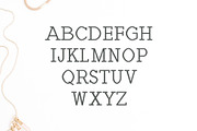 Haytham Slab Serif Fonts Packs, a Slab Serif Font by Creativetacos (Thumbnail 2 of 5)