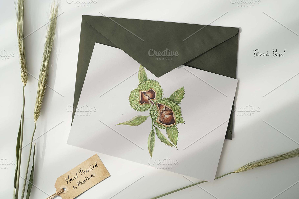 Watercolor Chestnut Set, a Food Illustration by MayaNavits (Photo 6 of 7)