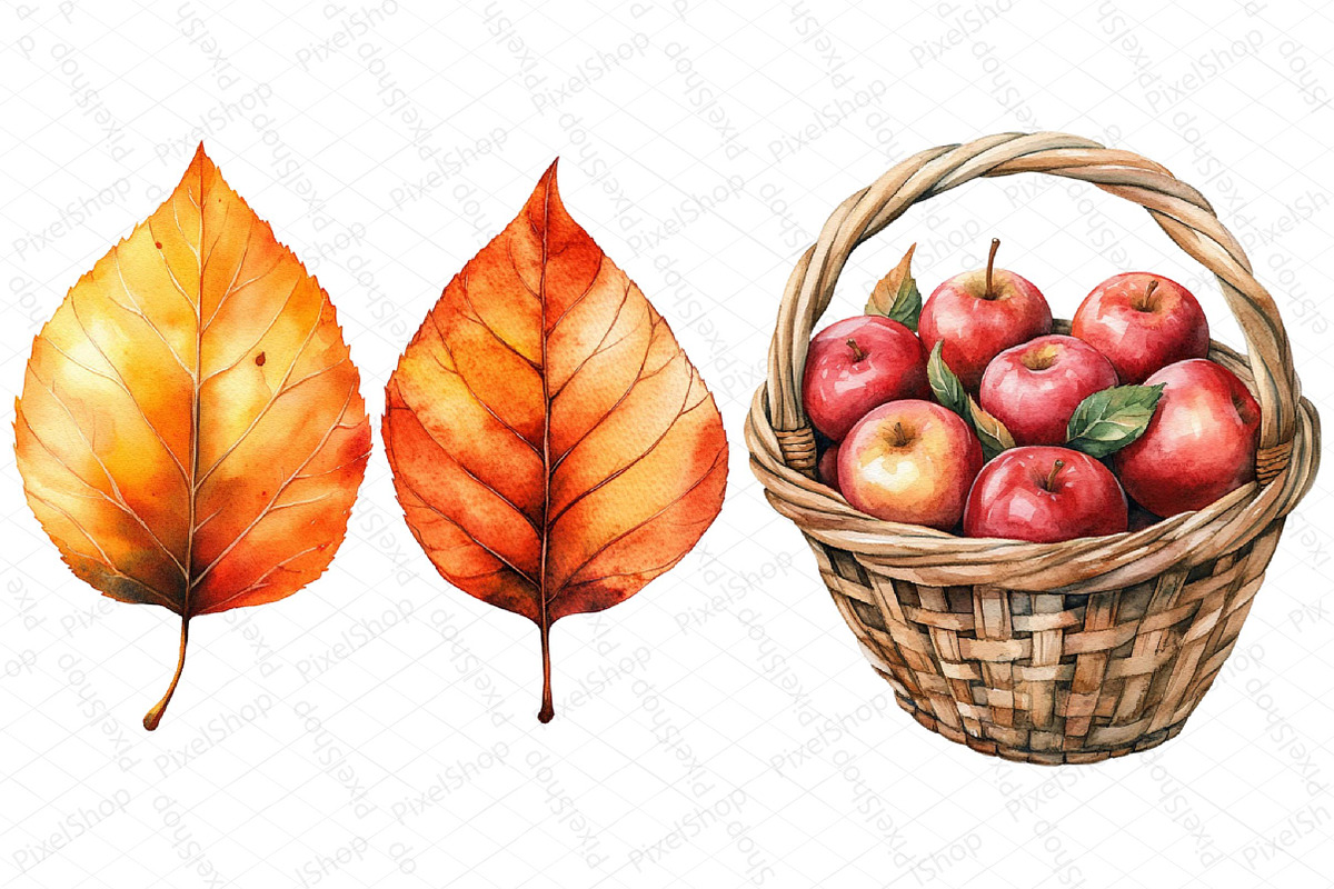 Watercolor Minimalist Autumn Clipart, an Illustration by DreamPrint404 (Photo 3 of 7)