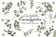 Watercolor Eucalyptus PNG Bunlde, an Illustration by Digi_Design_World (Thumbnail 1 of 4)
