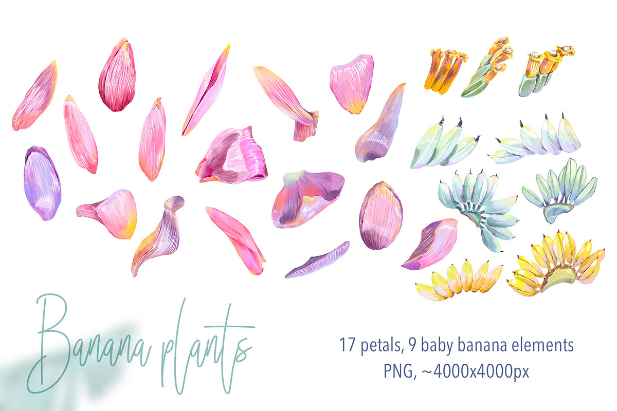 Banana blossom plants Watercolor set, an Illustration by Shabbypie (Photo 2 of 13)