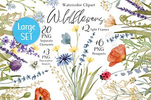 Watercolor Wildflower clipart