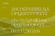 Trendy & Modern Fonts 2 - 10 Sets, a Font by Cruzine (Thumbnail 22 of 42)