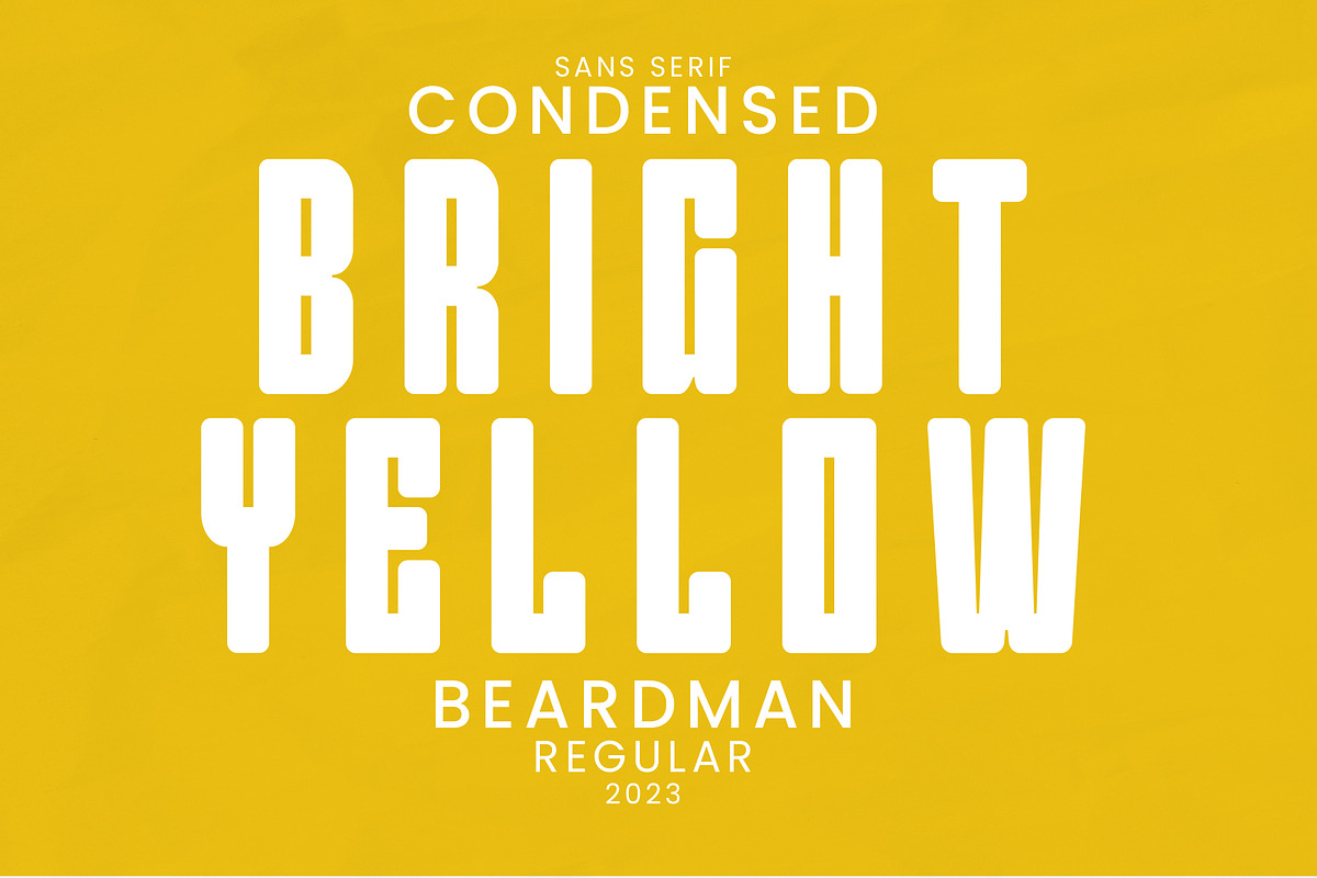 Beardman - Headline Condensed Font, a Sans Serif Font by roomspace creative lab (Photo 14 of 15)