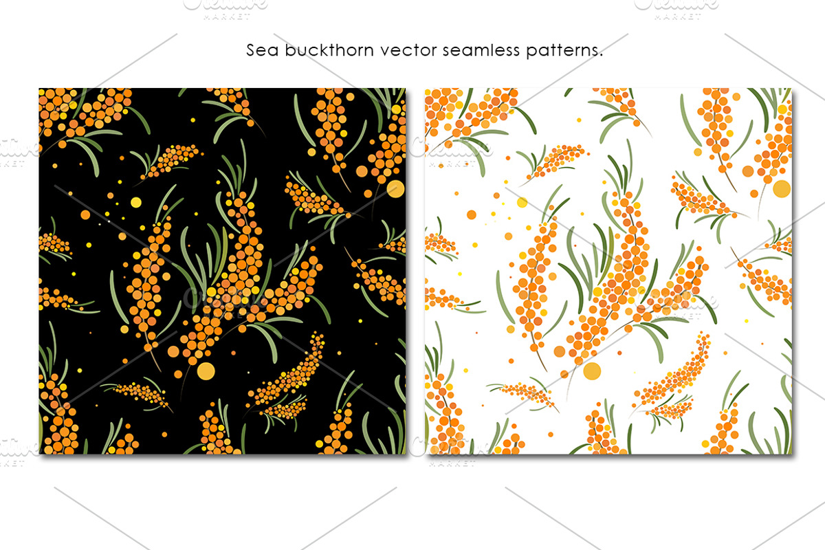 Sea buckthorn patterns set., a Pattern Graphic by xgart (Photo 2 of 4)