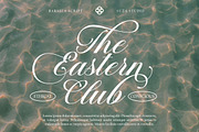 Barsela Calligraphy, a Script Font by Suza Studio (Thumbnail 8 of 12)