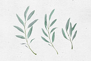 Watercolor Olives, an Illustration by Maria's little shop (Thumbnail 5 of 7)