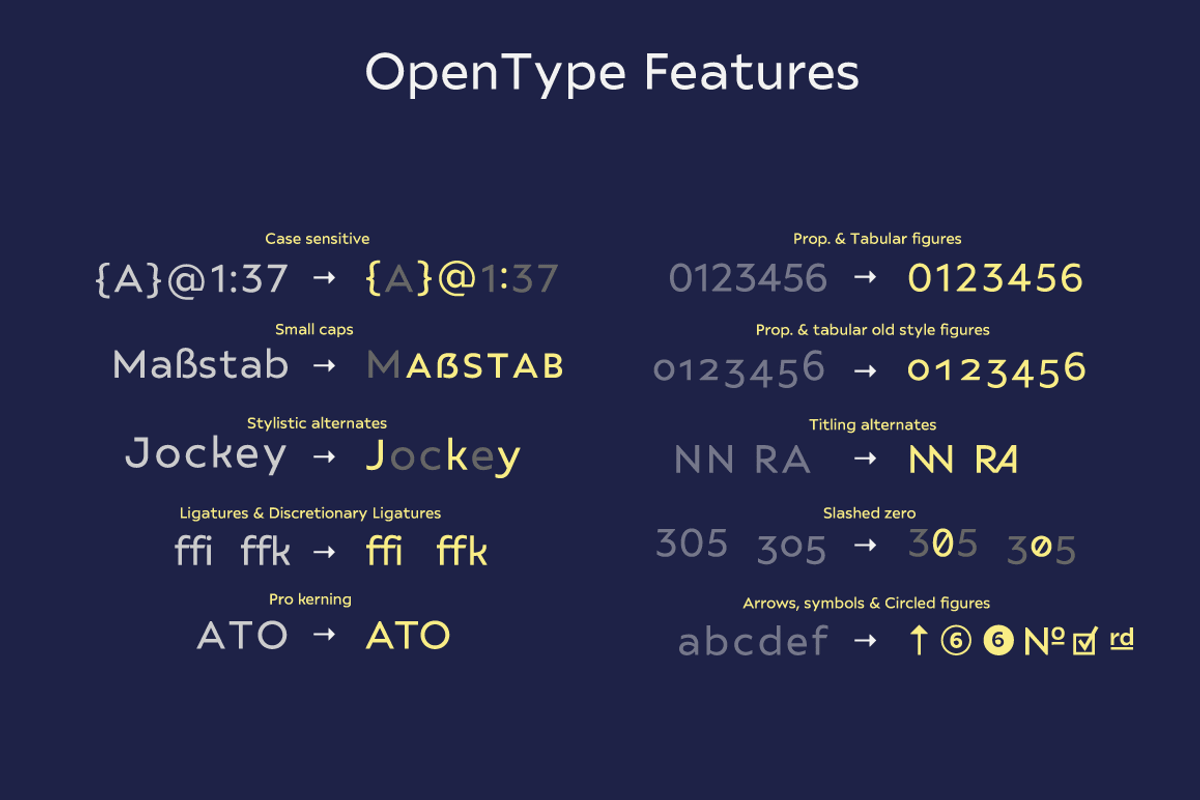 Ariana Pro font family, a Sans Serif Font by Mostardesign Type Foundry (Photo 16 of 16)