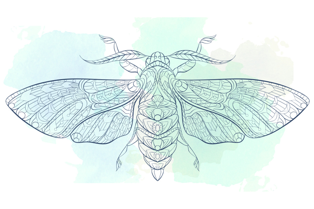 Ethnic Collection: Moth, an Animal Illustration by ArtoJoy (Photo 4 of 4)