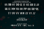 Happy Birthday, a Serif Font by FreshTypeINK (Thumbnail 5 of 8)
