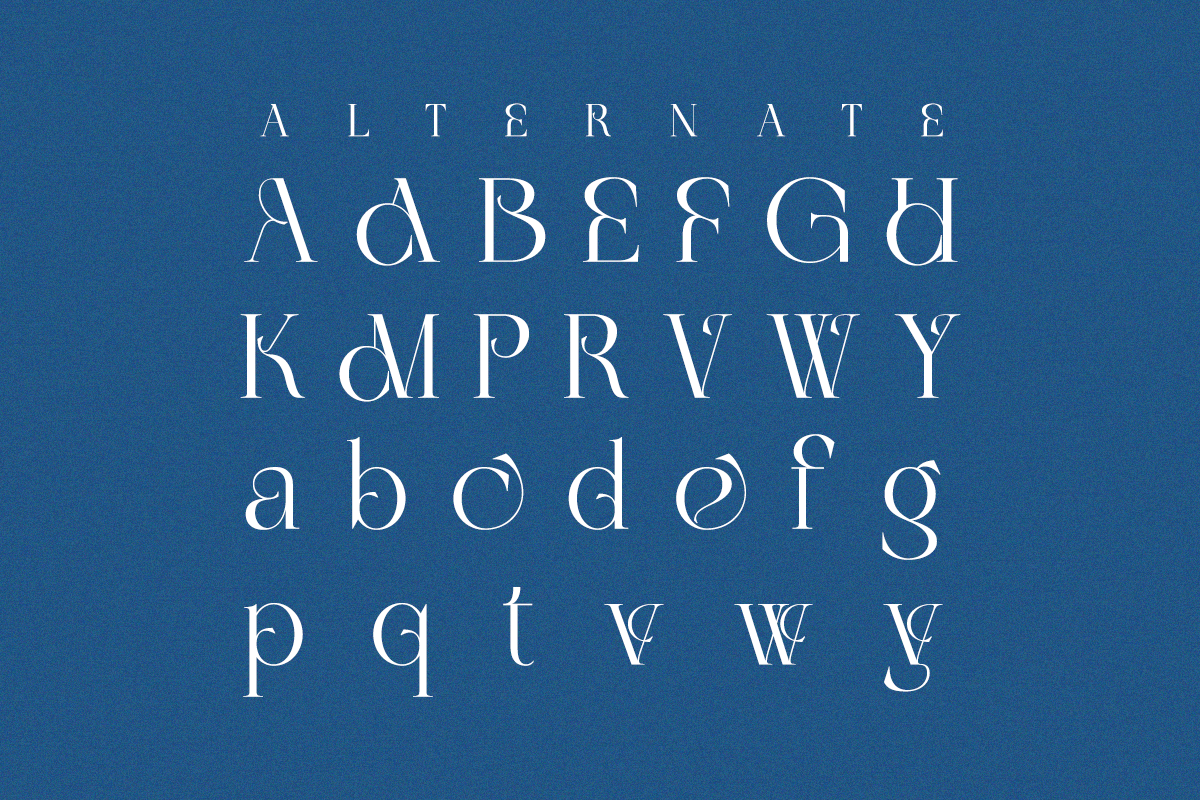 Lysoule - Minimal Luxury Ligature, a Serif Font by Qweera Studio (Photo 10 of 12)