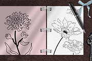 Wildflower Ink Atelier, a Decorative Illustration by The Journey Atelier (Thumbnail 16 of 19)