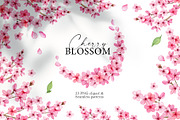 Cherry blossom watercolor clipart, an Illustration by Color Hugs Art (Thumbnail 1 of 8)