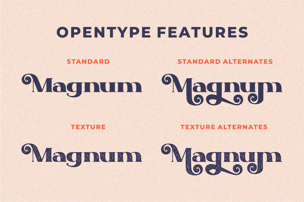 Blize Queen - Display Serif Font, a Sans Serif Font by PutraCetol Studio (Photo 6 of 11)