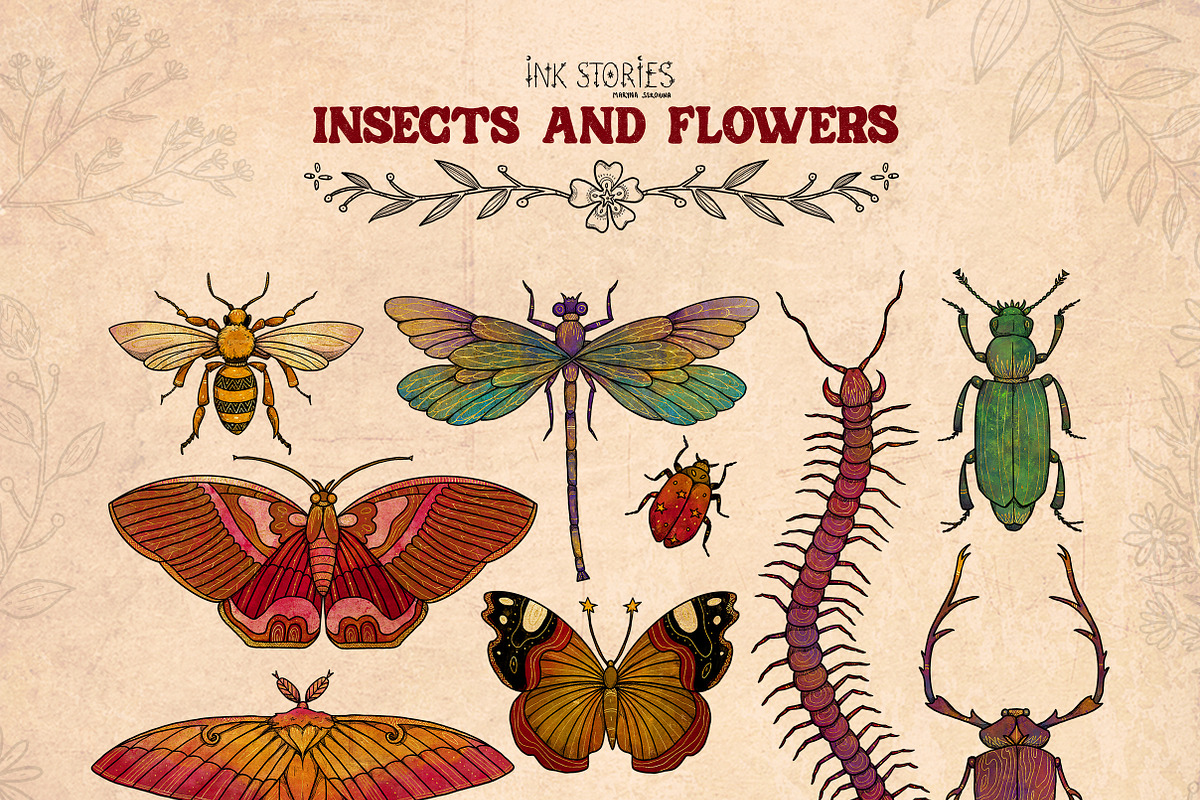 Insects and Flowers, an Animal Illustration by Ink Stories (Photo 2 of 15)