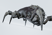 Monster Bug, a Characters & Person 3D Model by NojskaAksjon (Thumbnail 12 of 22)