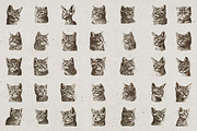 Cat Breeds Portrait Illustrations, an Animal Illustration by Nocturnal Wolf (Thumbnail 5 of 10)