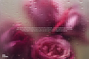 Fluted Bloom - Background Set, a Background Graphic by Nenjo Studio (Thumbnail 2 of 8)