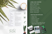Resume Template Google Docs, Word, a Resume Template by Career Canvas (Thumbnail 5 of 13)