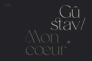 MYROGE elegant & stylish serif, a Serif Font by CarmineType (Thumbnail 3 of 18)