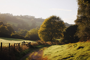 Dirt path leading through lush green fields and over gentle hill, a Photo by Studio ANNA