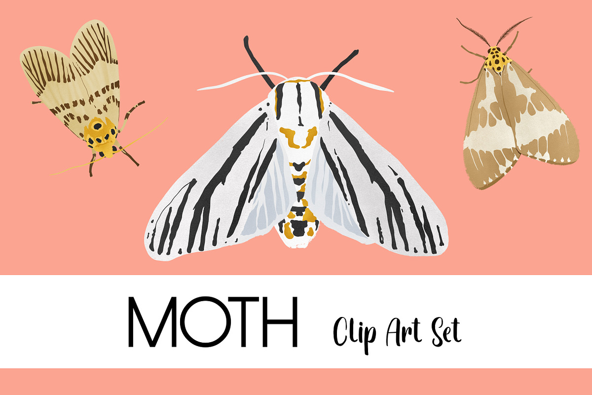 Moth Clip Art Set, an Illustration by Nagore Rodriguez Design (Photo 1 of 2)