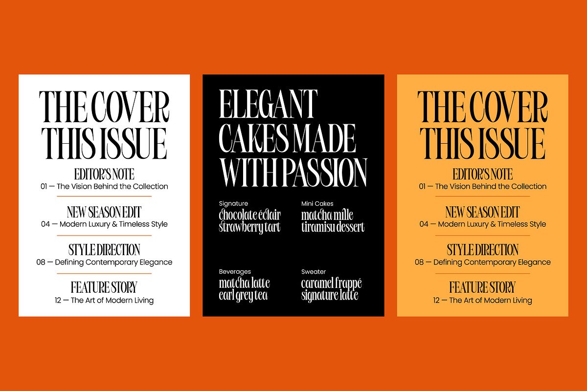 Bargckiss Contemporary Serif Display, a Serif Font by timelesstype.co (Photo 2 of 10)