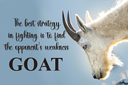 Goat - Script Font, a Script Font by InermediaSTUDIO (Thumbnail 5 of 6)