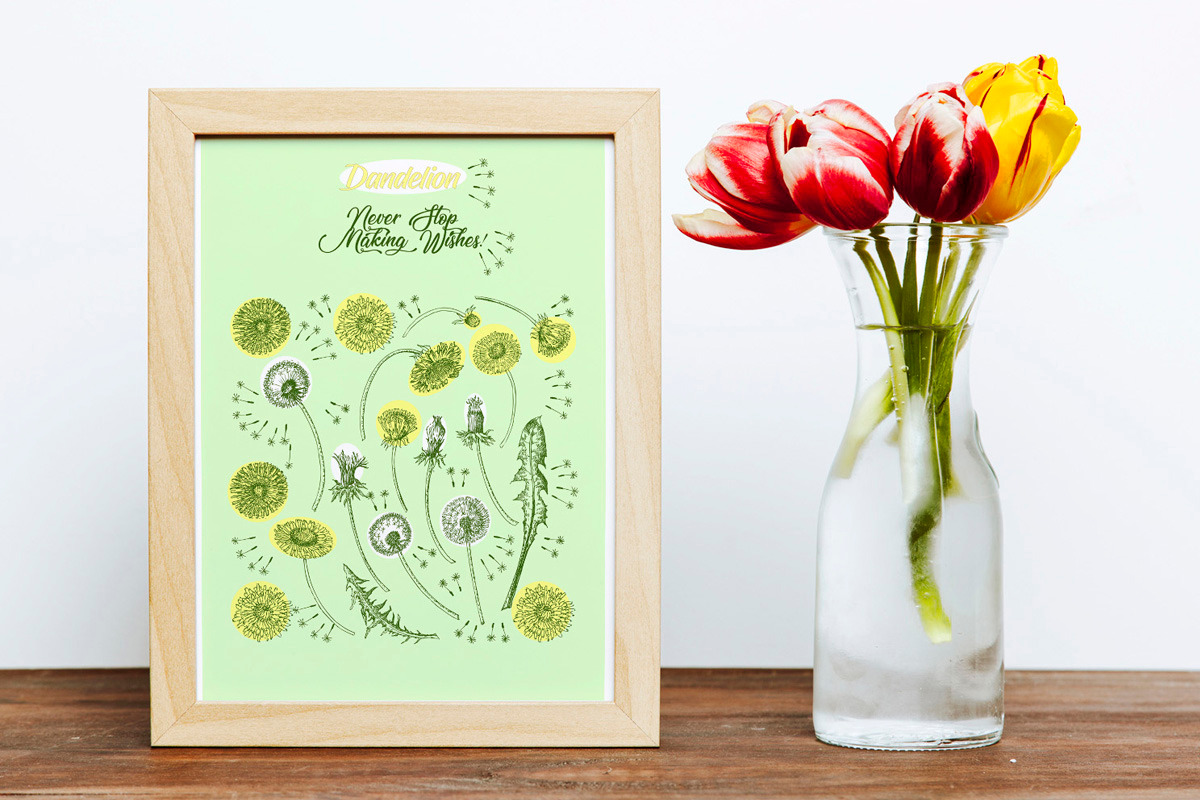 Dandelions Digital Clipart, a Decorative Illustration by Nataliapiache (Photo 3 of 4)