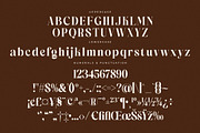 Copeland New Modern Serif Font, a Serif Font by Storytype Studio (Thumbnail 13 of 15)