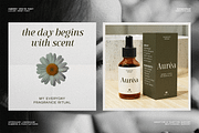 Ambery Verita – Elegant Modern Serif, a Serif Font by roomspace creative lab (Thumbnail 6 of 10)