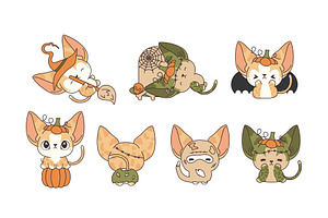 Set Halloween Abyssinian Cat