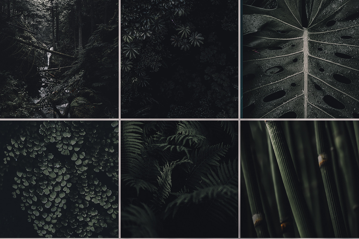 Deep Green Preset, a Plug-in Add-On by Unlimited Presets (Photo 3 of 3)