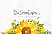 Watercolor Sunflowers, a Decorative Illustration by BlueRobinDesignShop (Thumbnail 1 of 4)