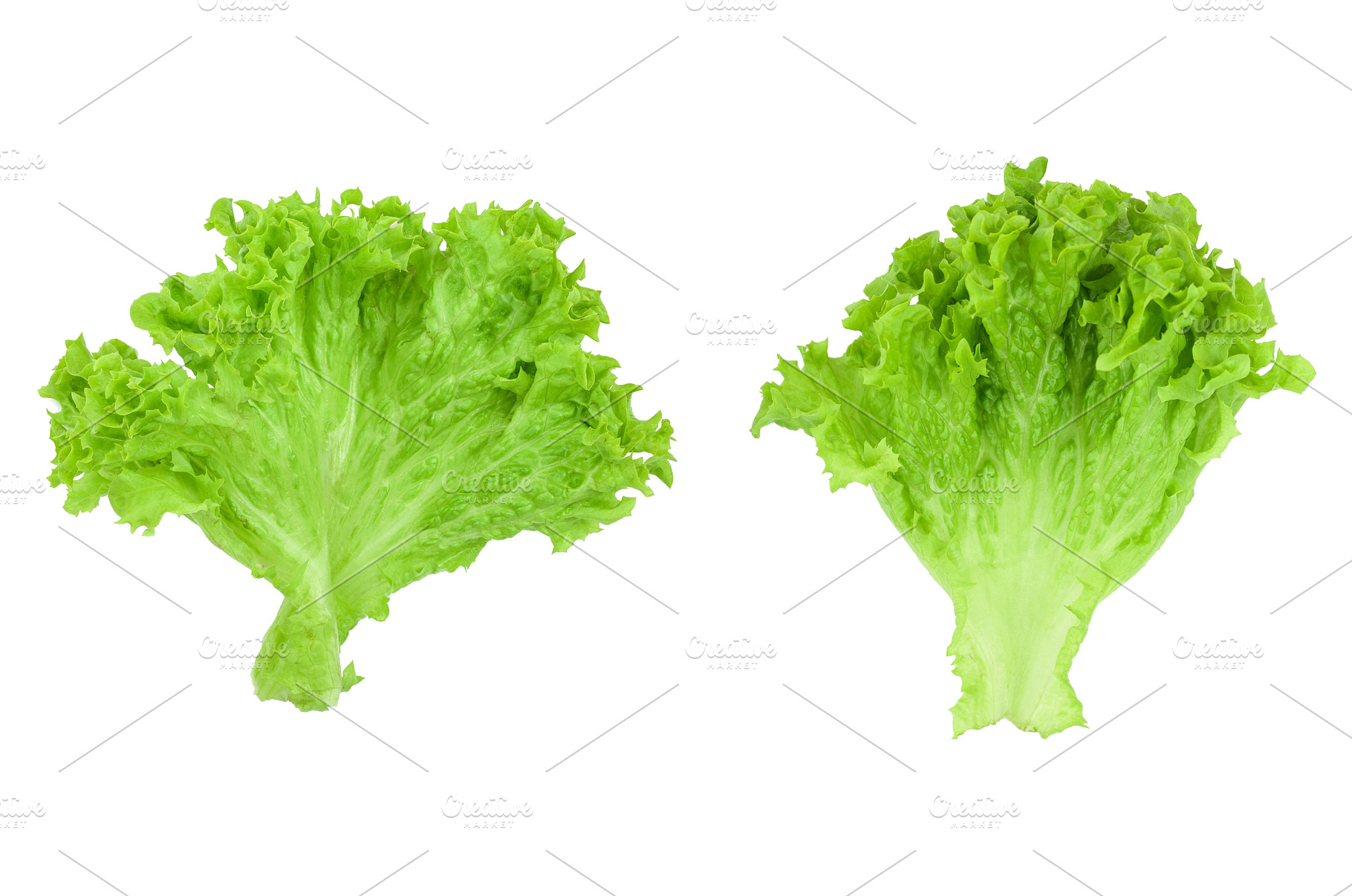 Lettuce leaf isolated on white, a Food & Drink Photo by NataPhoto