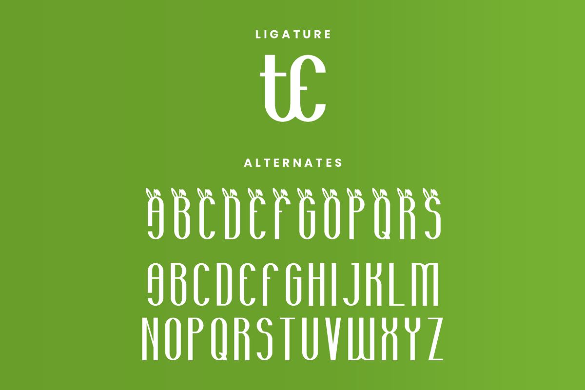 Outer Easter - Typeface Font, a Sans Serif Font by QR Design Studio (Photo 3 of 4)