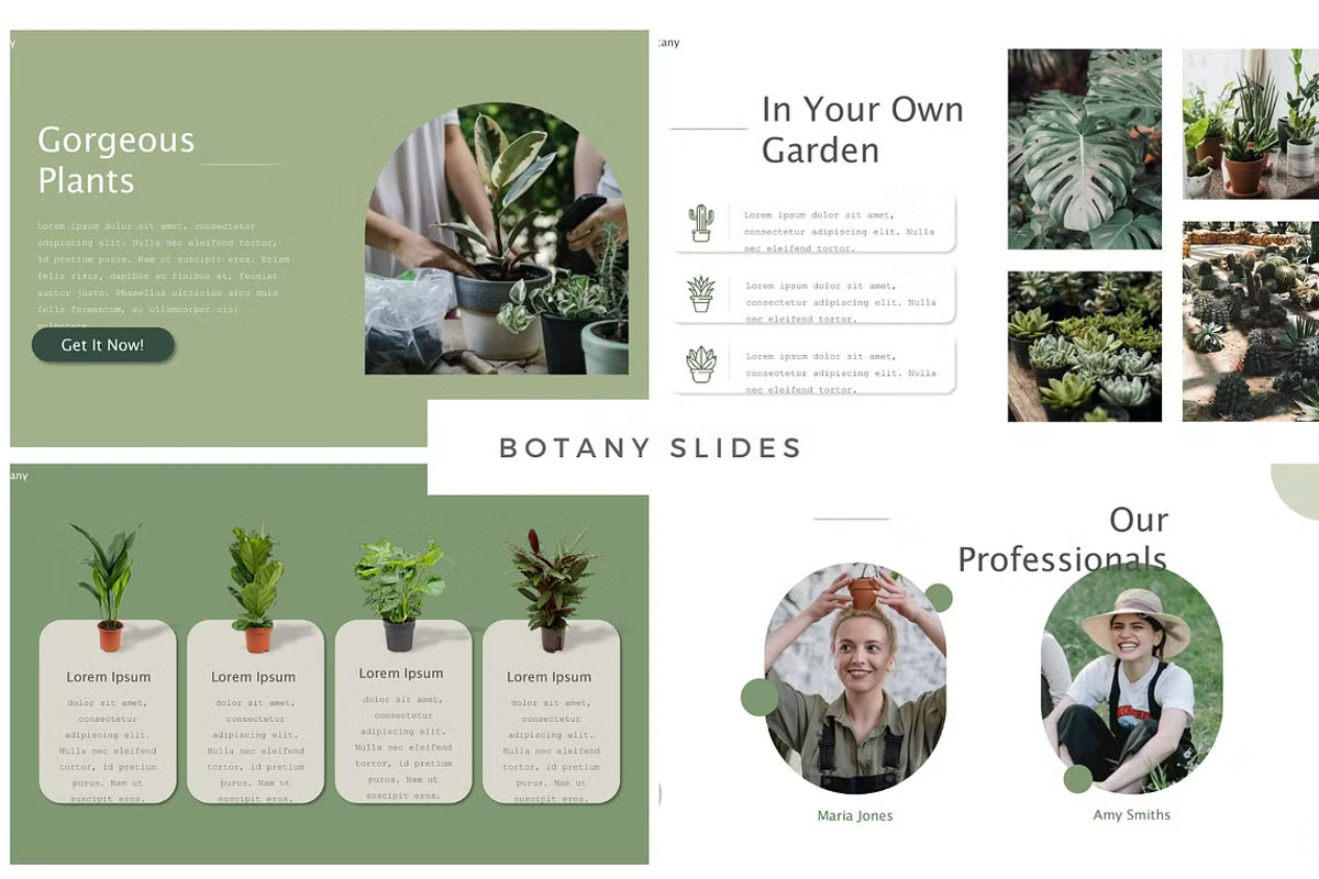 Nature Botany Powerpoint Template, a Presentation Template by GearShift (Photo 3 of 4)